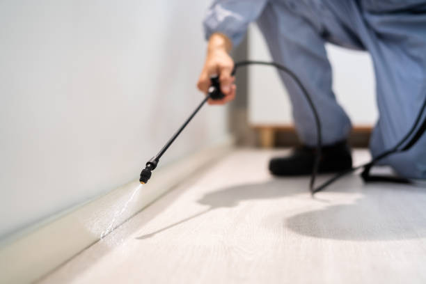 Licensed Pest Control service in Springville, VA - Show Me Pest Control