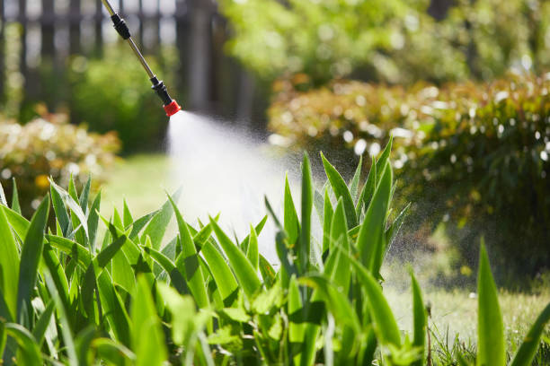 24/7 Emergency Mosquito Control experts in Springville, VA