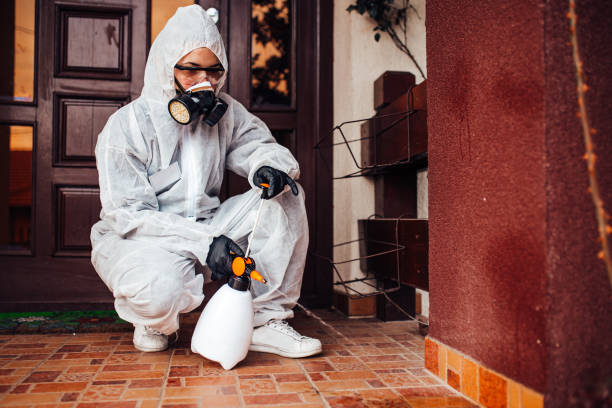 Reliable Mosquito Control contractor in Springville, VA by Show Me Pest Control